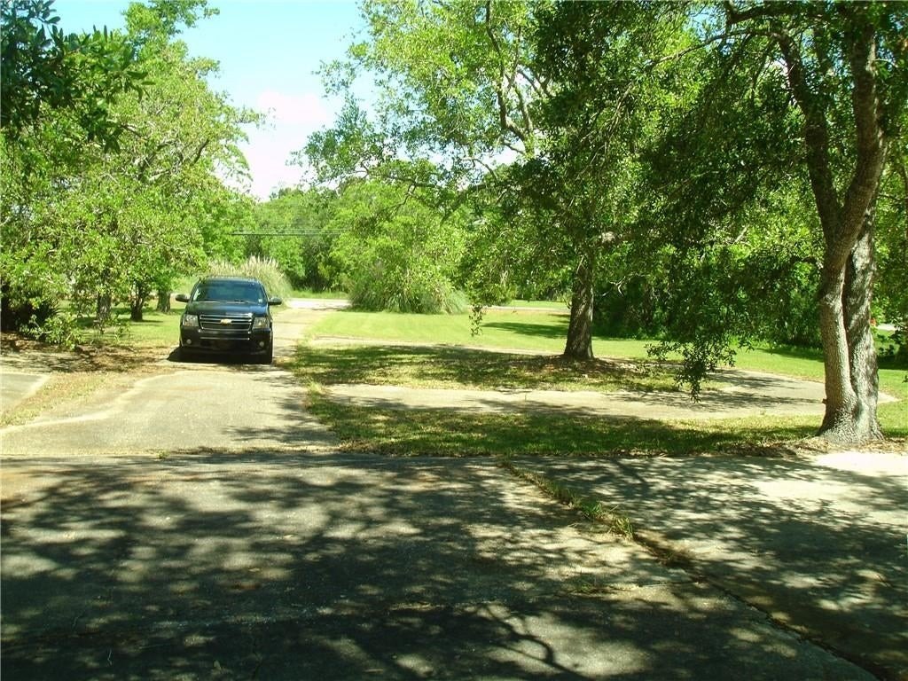 Picture 5