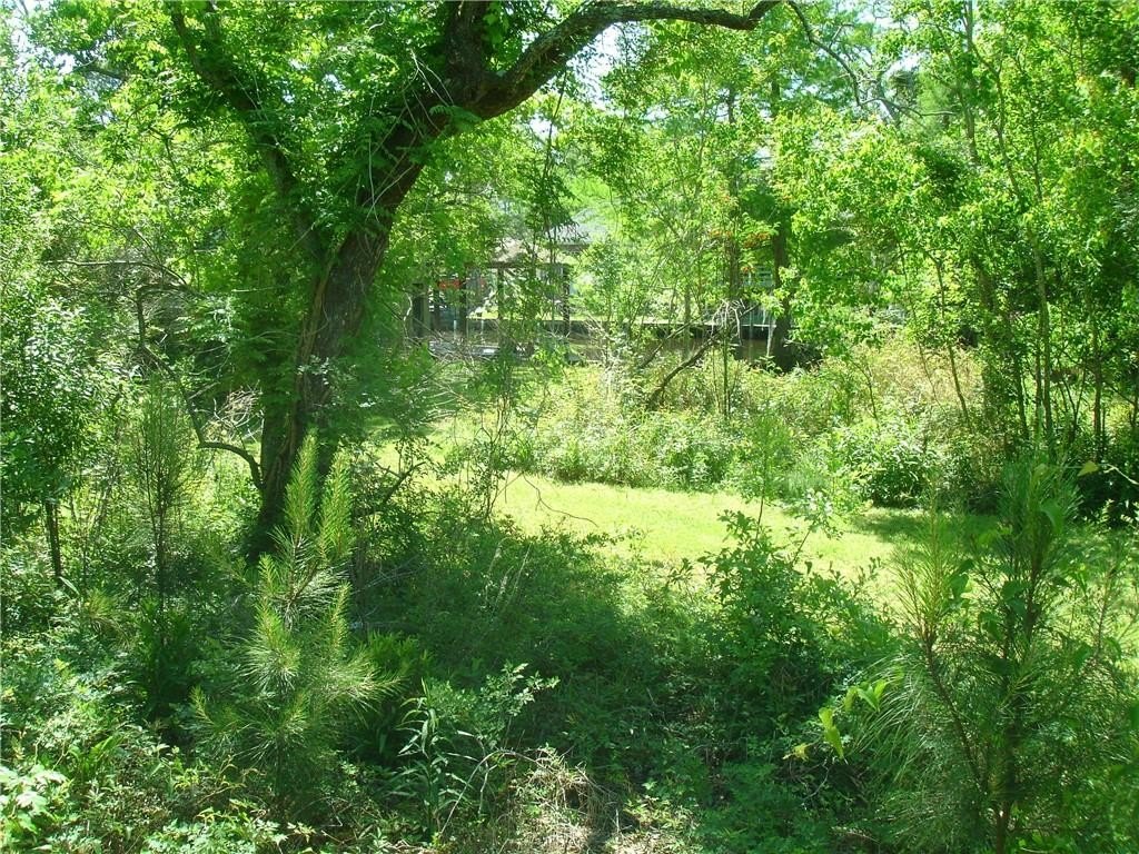 Picture 4