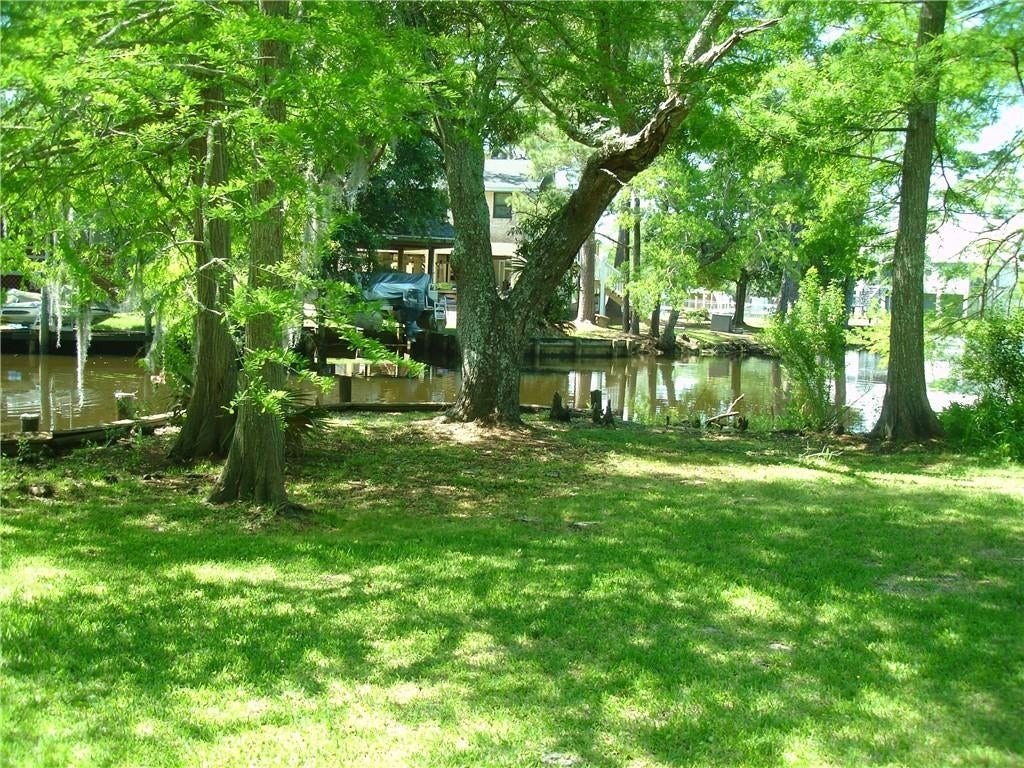 Picture 8