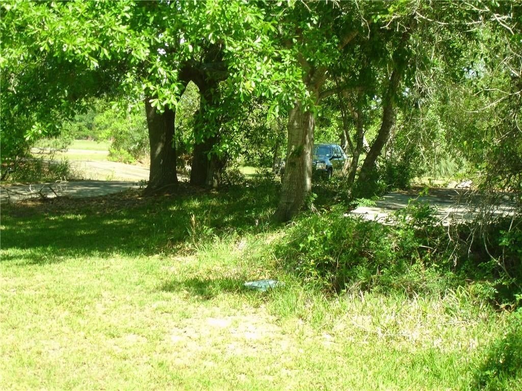 Picture 9
