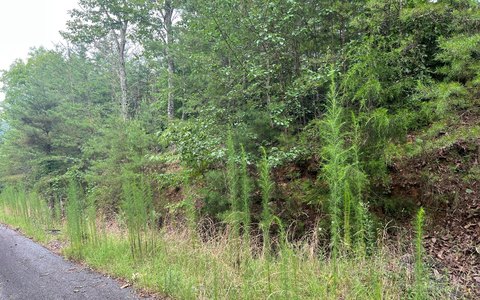 Two Acre Wooded Lot