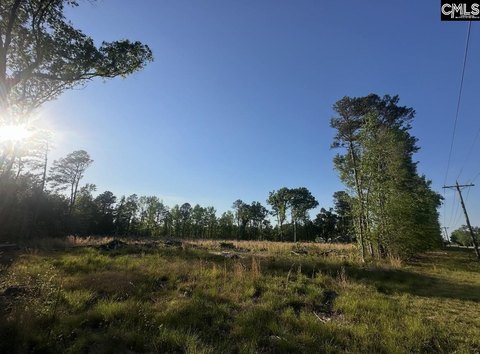 LOTS AND ACREAGE, Rembert, SC