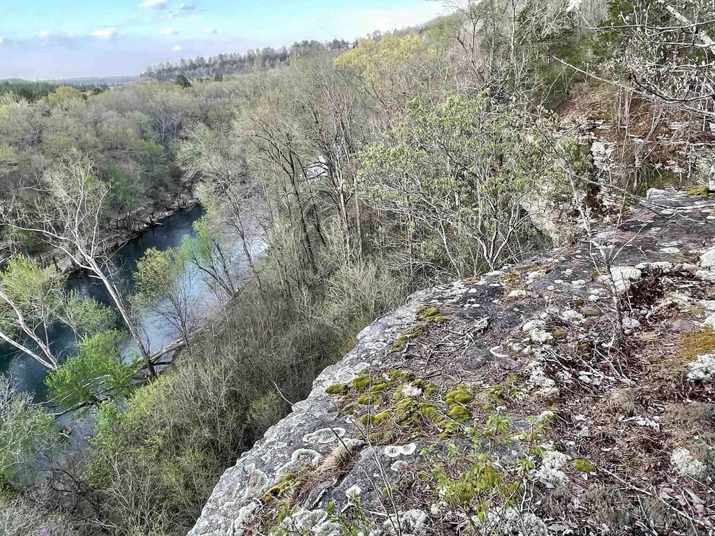 Picture 6