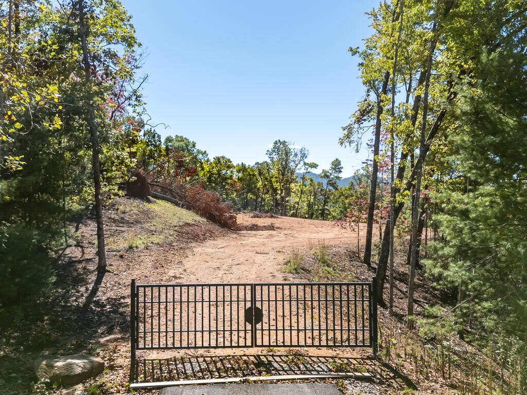 Picture 15