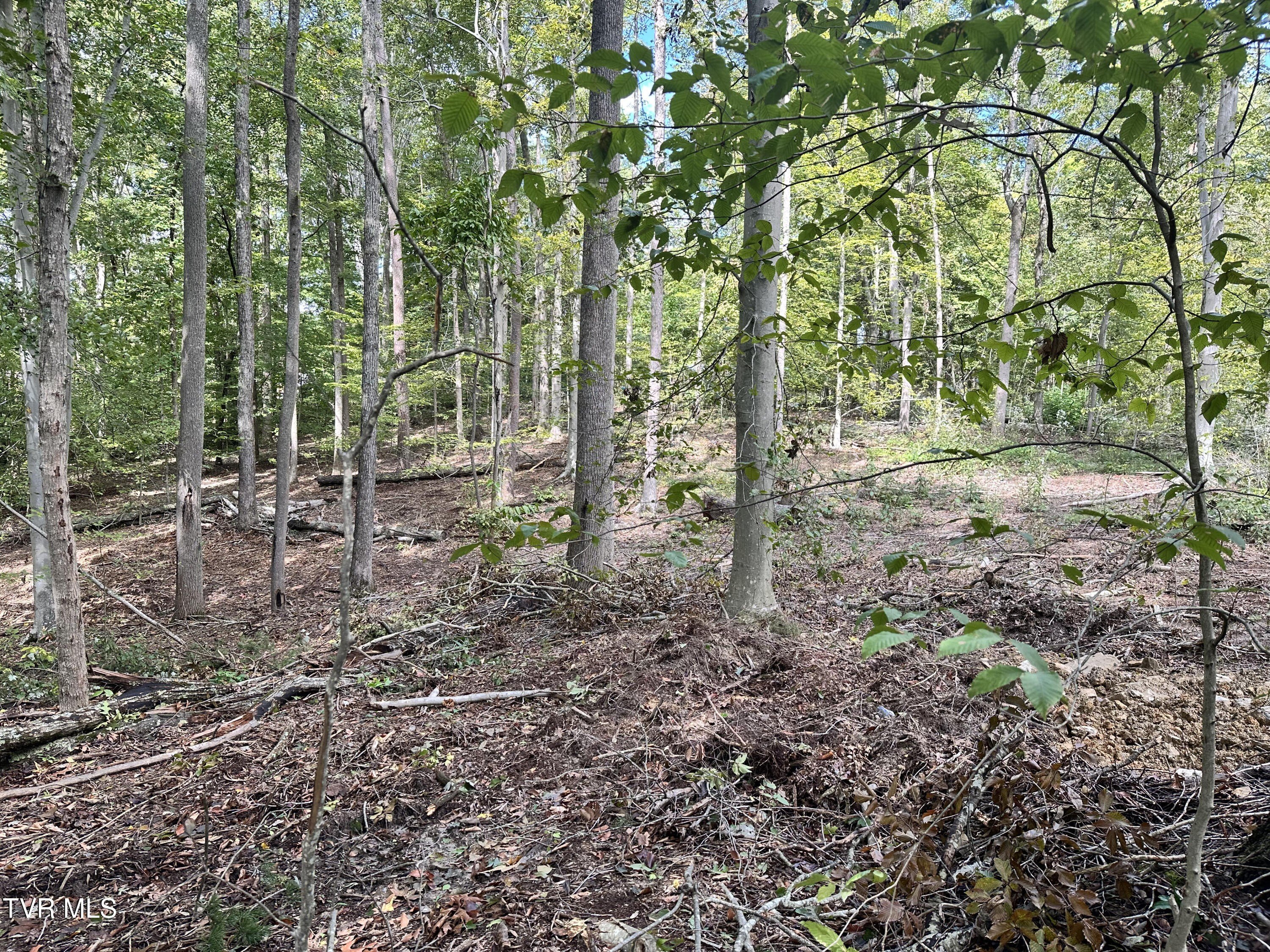 Rogersville Acre Lots For Sale