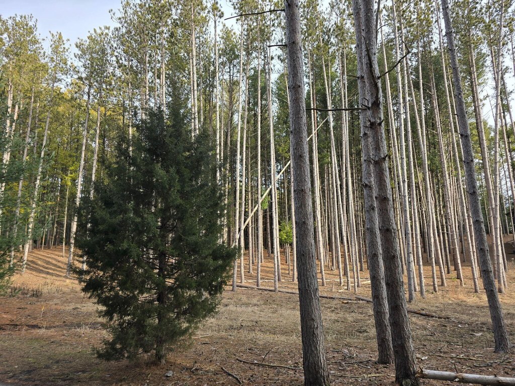 Picture 4