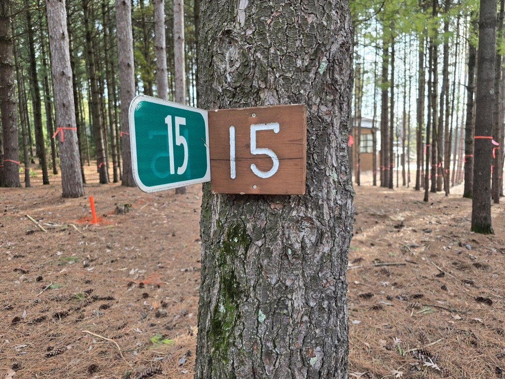 Picture 5