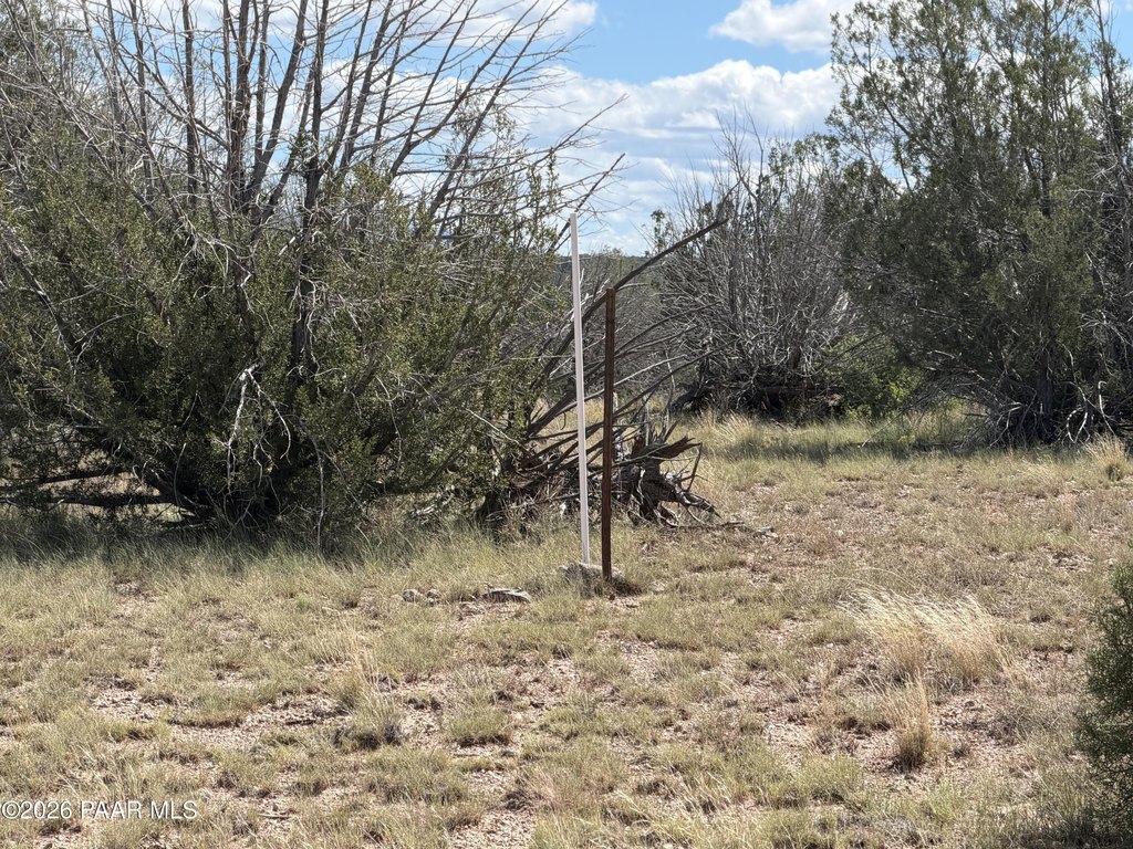 Picture 24