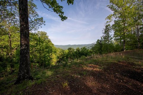 Land, Marble, NC