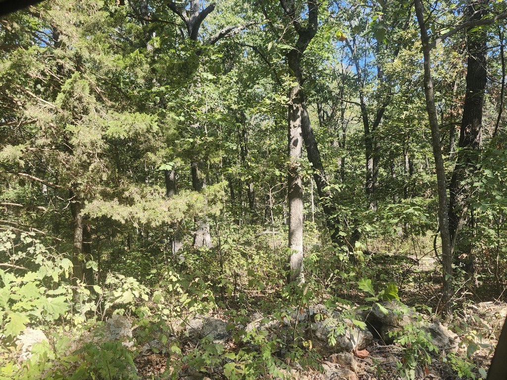 Picture 16