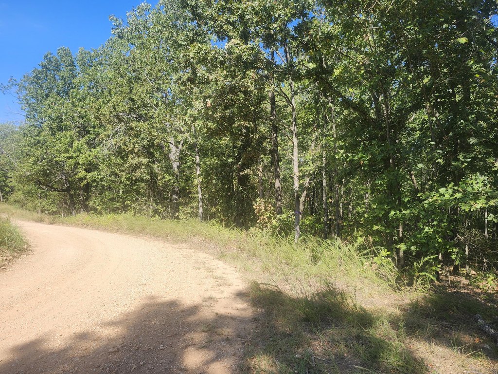 Picture 6