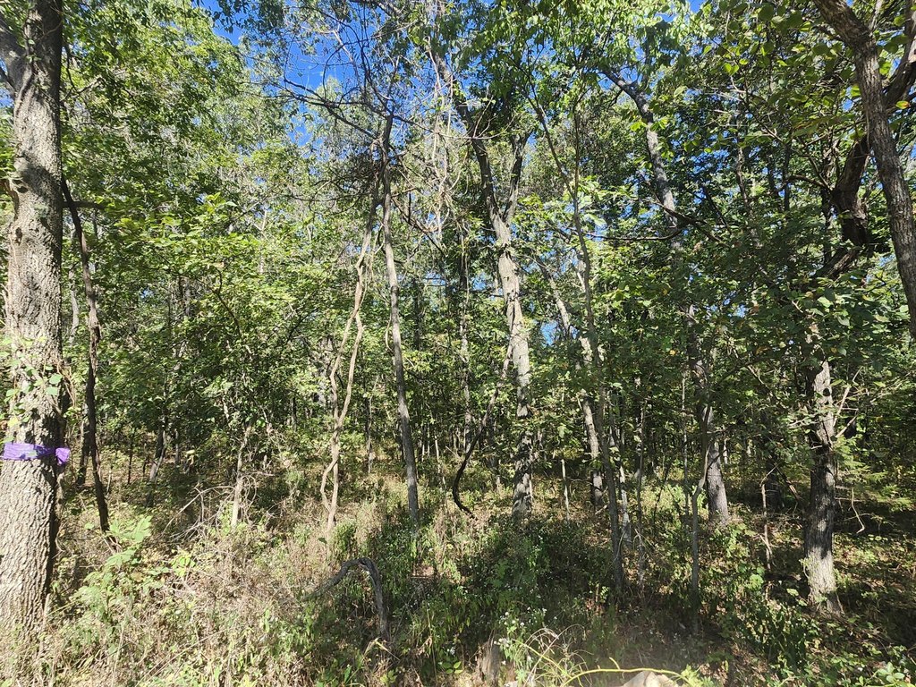 Picture 12