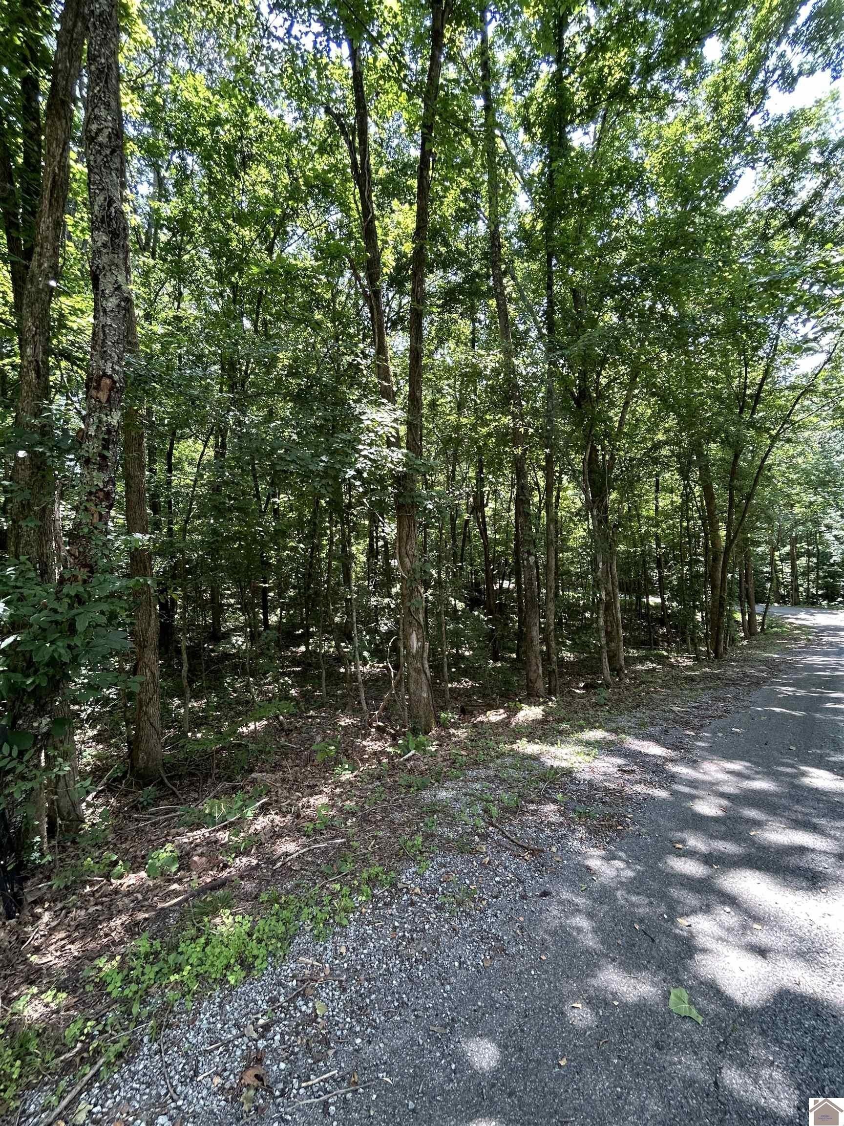 Lake Area Residential Land