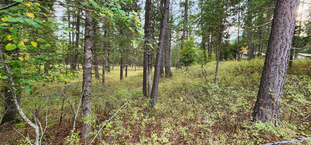 Picture 11