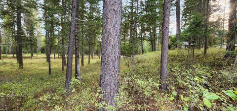 Land, Libby, MT