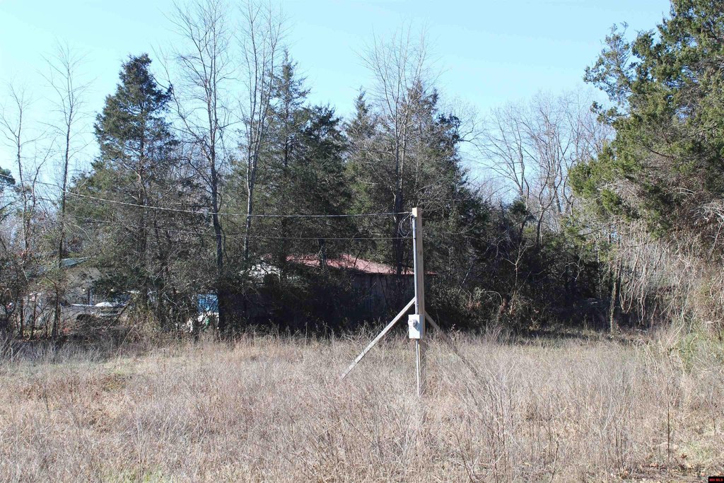 Picture 5