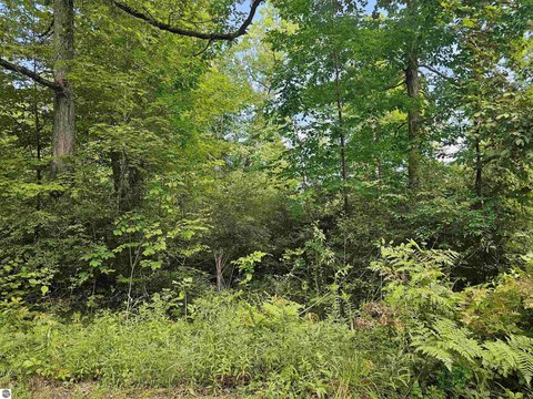 Wooded Lot Near South Dease Lake