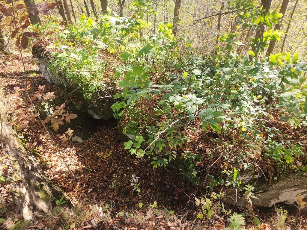 Picture 8