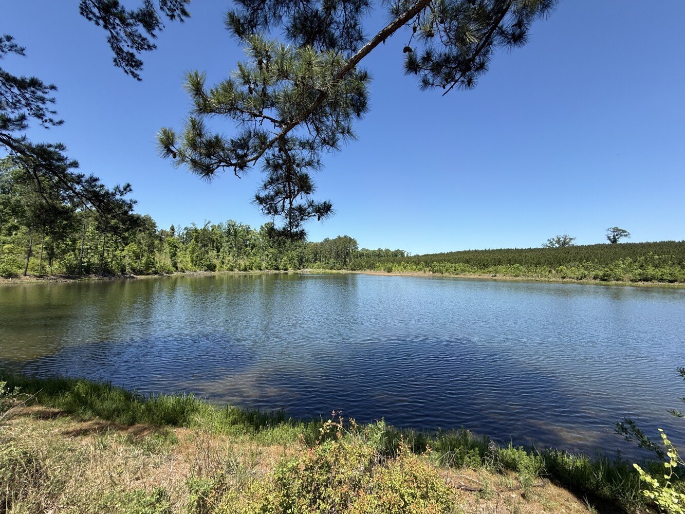464 Acres of Recreational Land