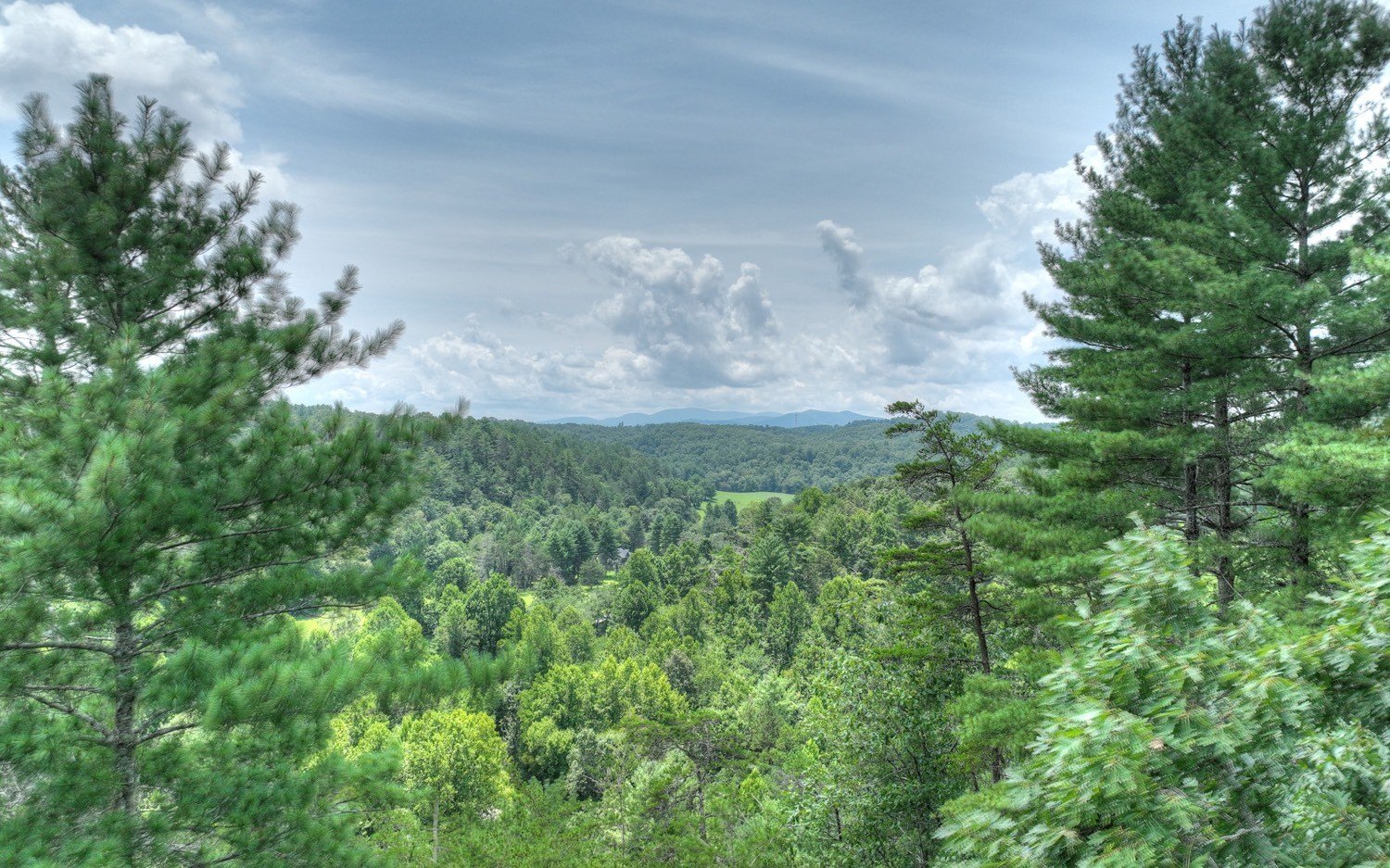 Morganton, GA Wooded Lot