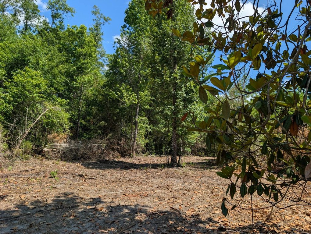 Picture 21