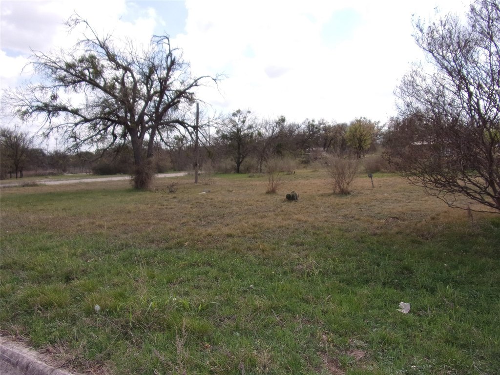 Picture 5