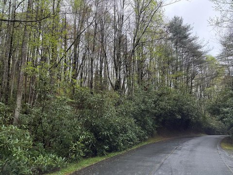 Sapphire, NC Land Parcel