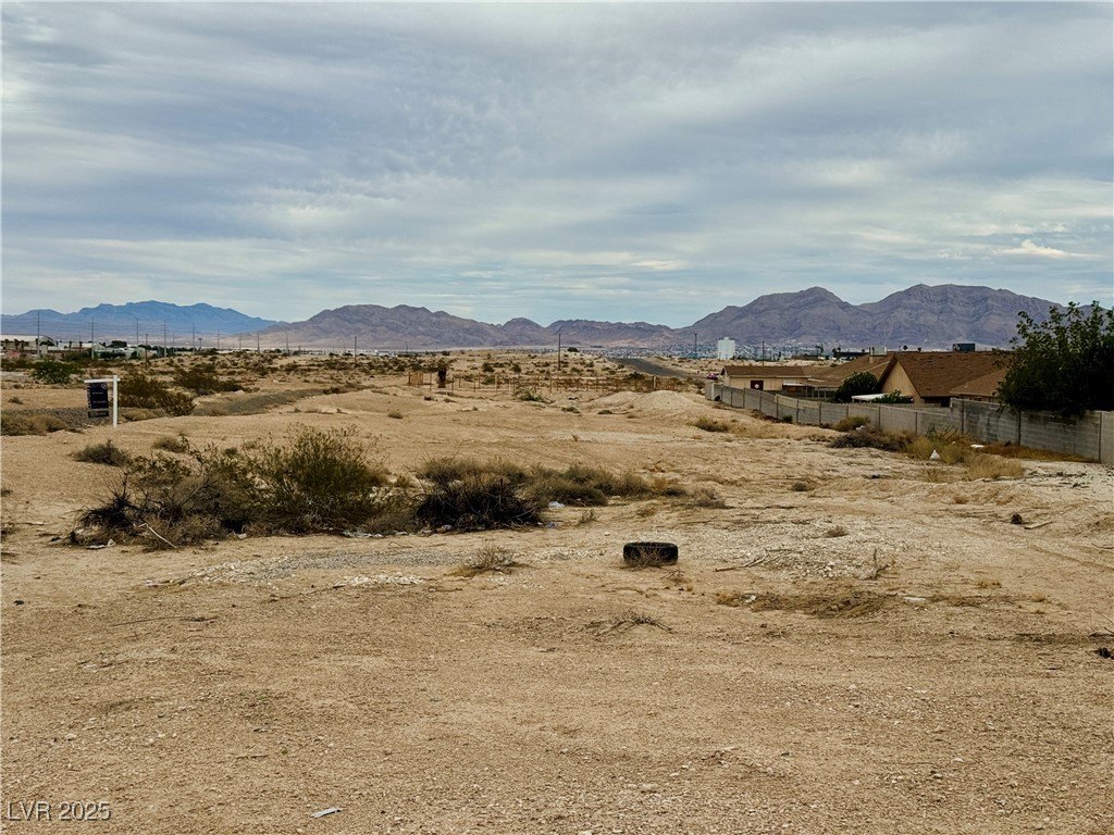 Picture 8