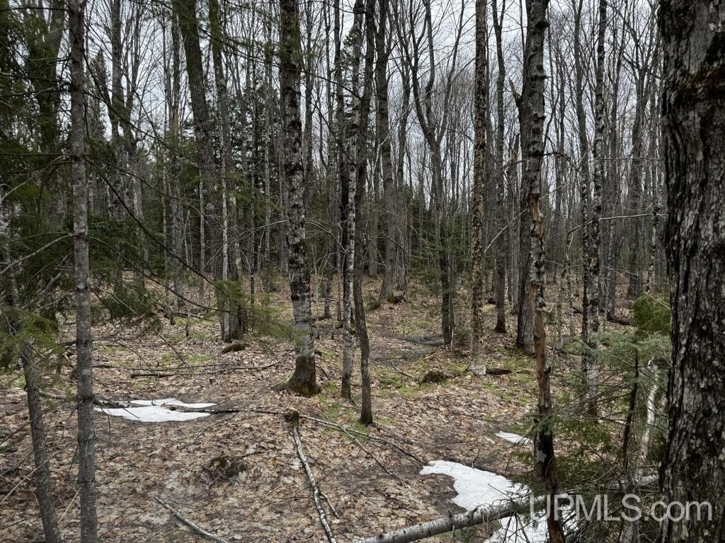 Recreational Land in Nisula, MI