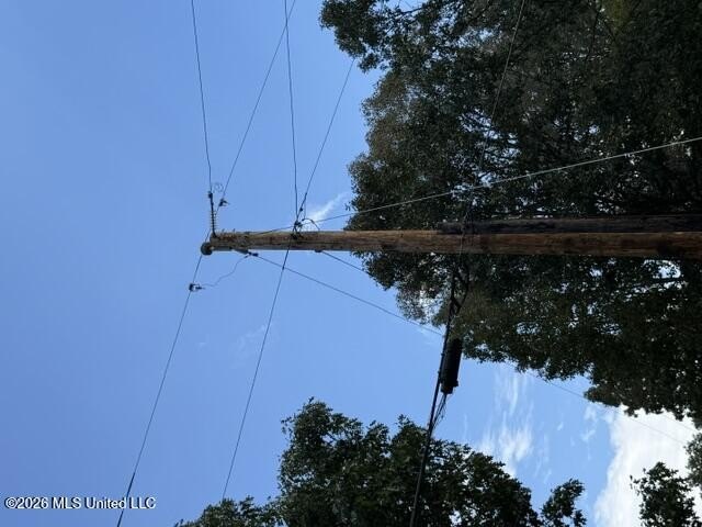 Picture 2