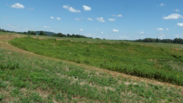 Picture 27
