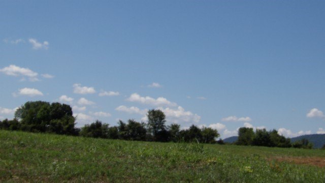 Picture 31