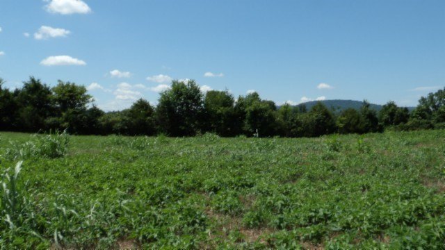 Picture 20