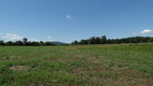 Picture 29