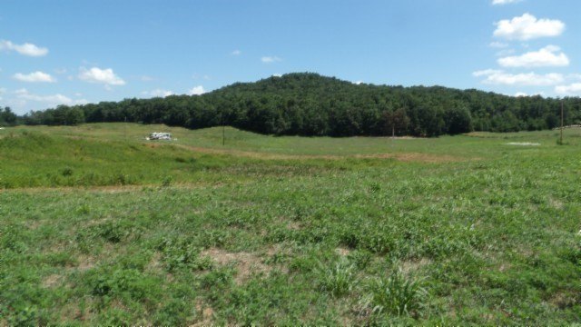 Picture 17