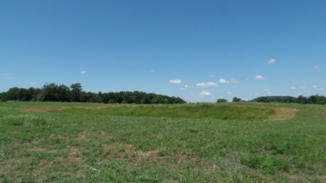 Picture 10