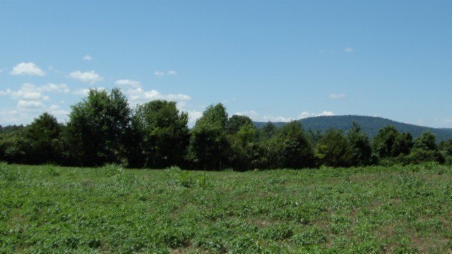 Picture 12