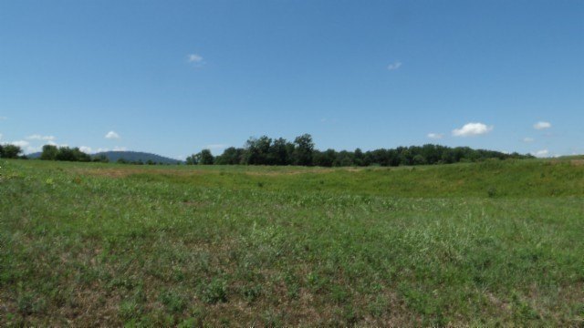Picture 30