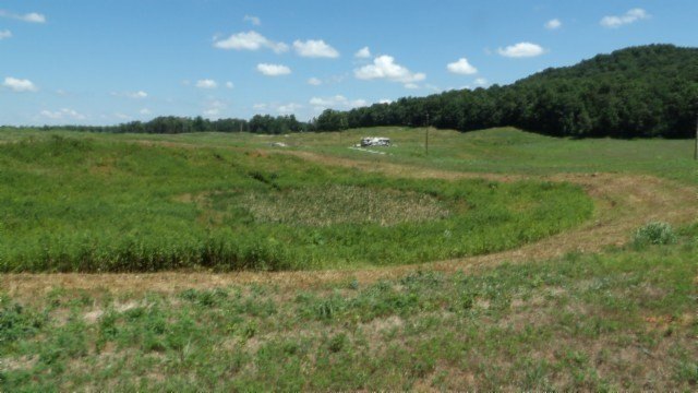 Picture 25