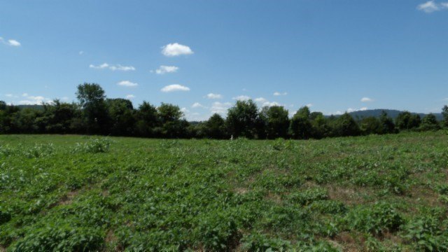 Picture 19