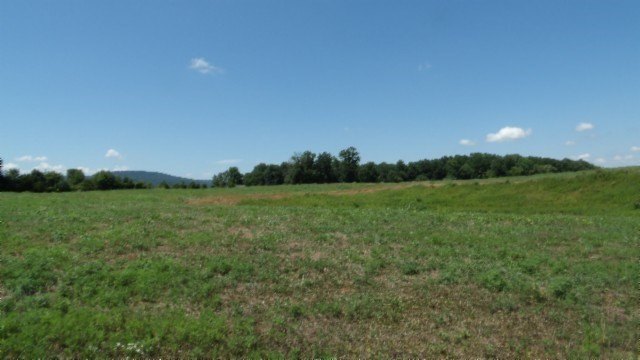 Picture 28