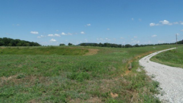 Picture 35