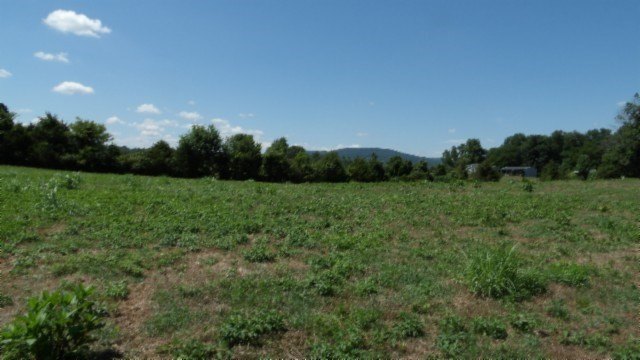 Picture 13