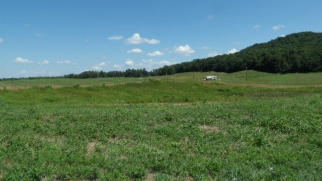 Picture 15