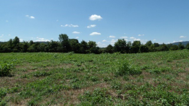 Picture 18