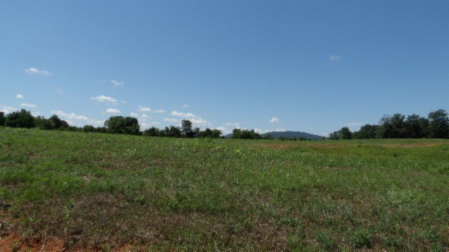 Picture 32