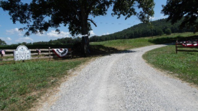 Picture 34