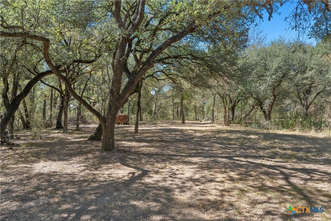 Texas Land in Lott
