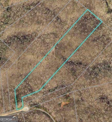 Gainesville Wooded Acreage For Sale