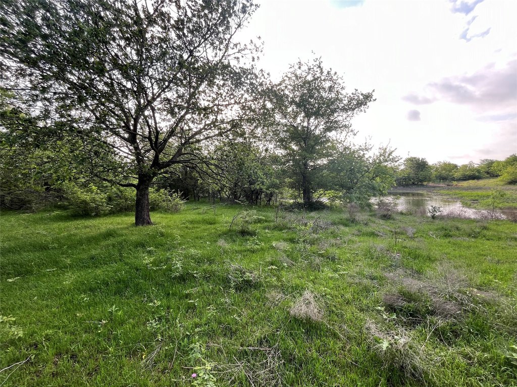 Picture 29